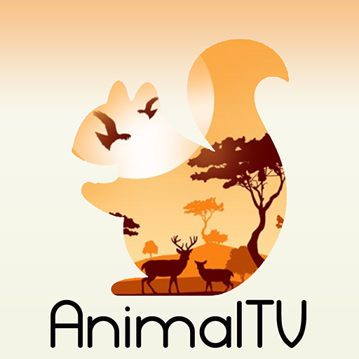 Animal TV on Kodi 19.4