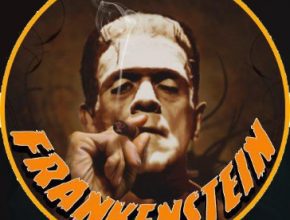 How To Install Frankenstein Kodi Addon On Kodi 19.4 Matrix