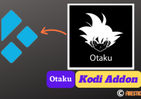 How to Install Otaku Kodi Addon on Kodi 19 Matrix How to Install Otaku Kodi Addon on Kodi 19 Matrix
